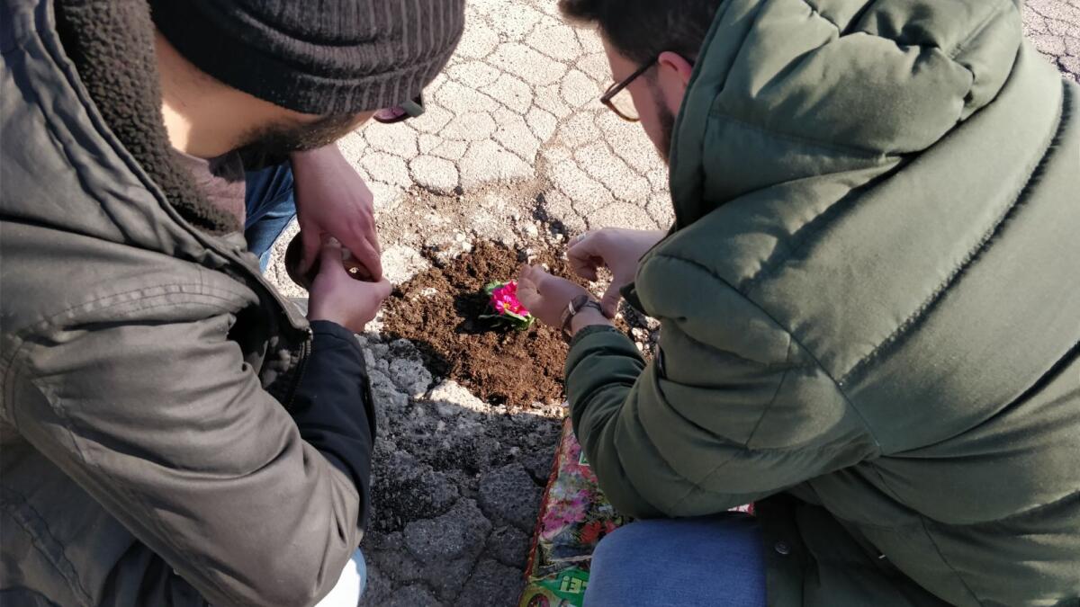 L'iniziativa: "Fiori nelle buche delle strade di Aprilia" - 