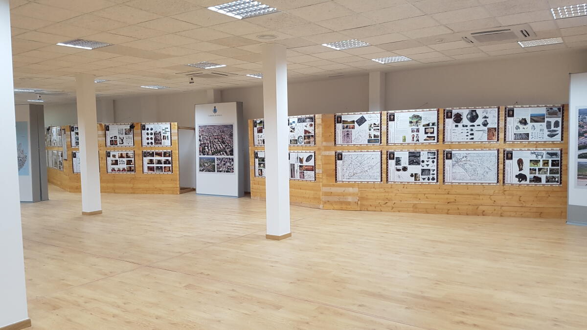 Satricum e Latium Vetus, la mostra dell'Assinarch di Aprilia ha una nuova sede - 