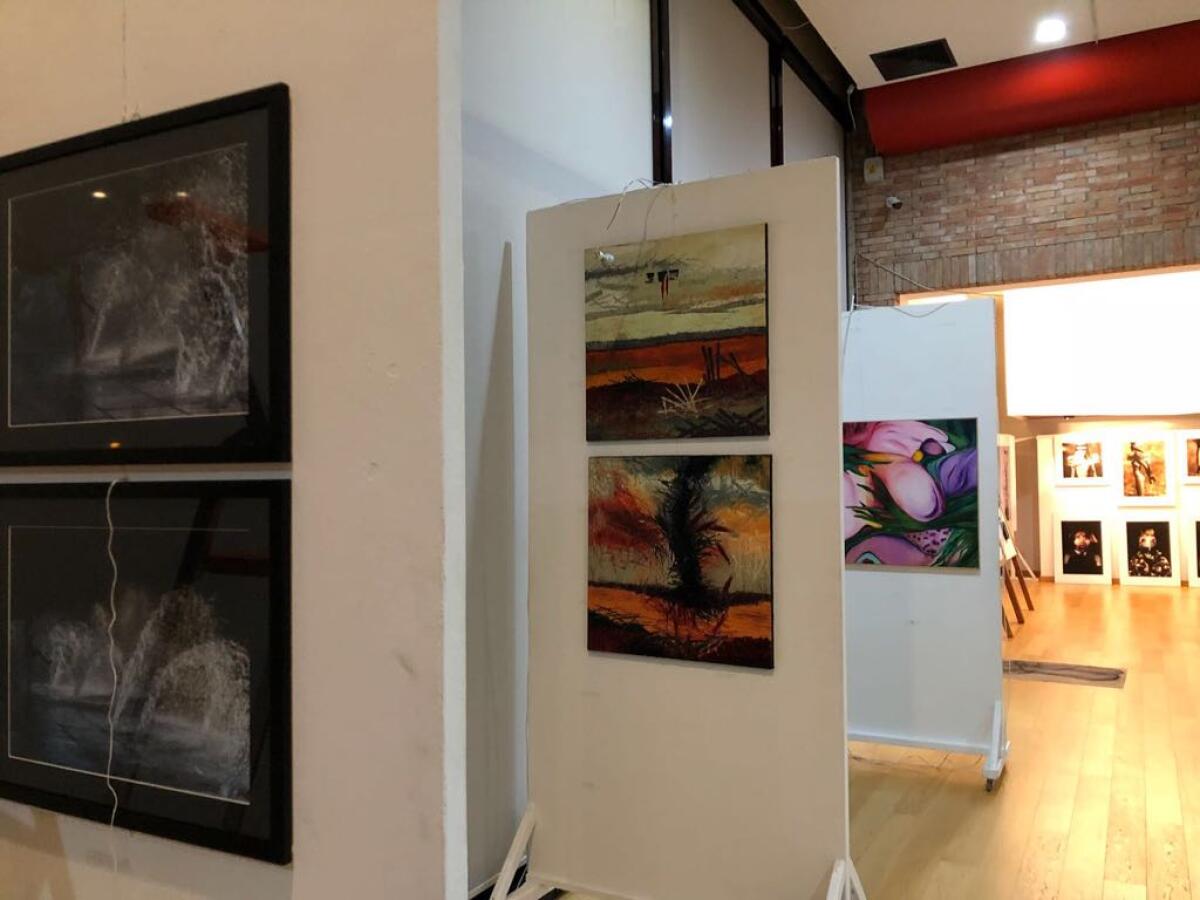 Sino al prossimo 21 marzo a Sabaudia la rassegna d'arte “Mad Donna 2018”. - 