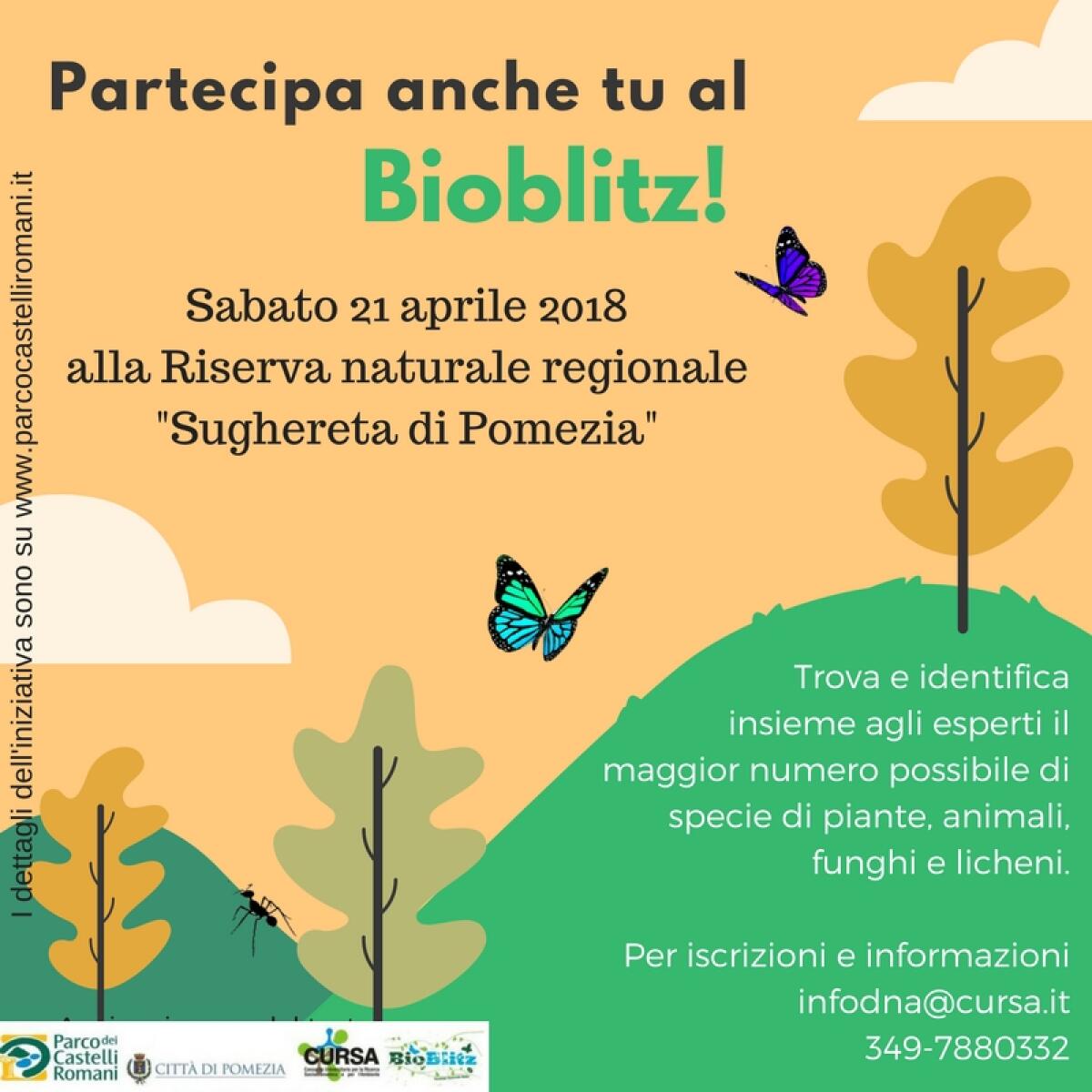 “BioBlitz” sabato 21 aprile alla Riserva Naturale Regionale "Sughereta" di Pomezia. - 