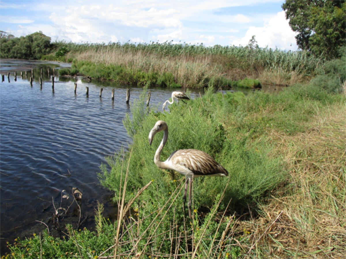 Accordo tra Ente Parco Nazionale del Circeo e il Ministero dei beni e delle attività culturali. - 