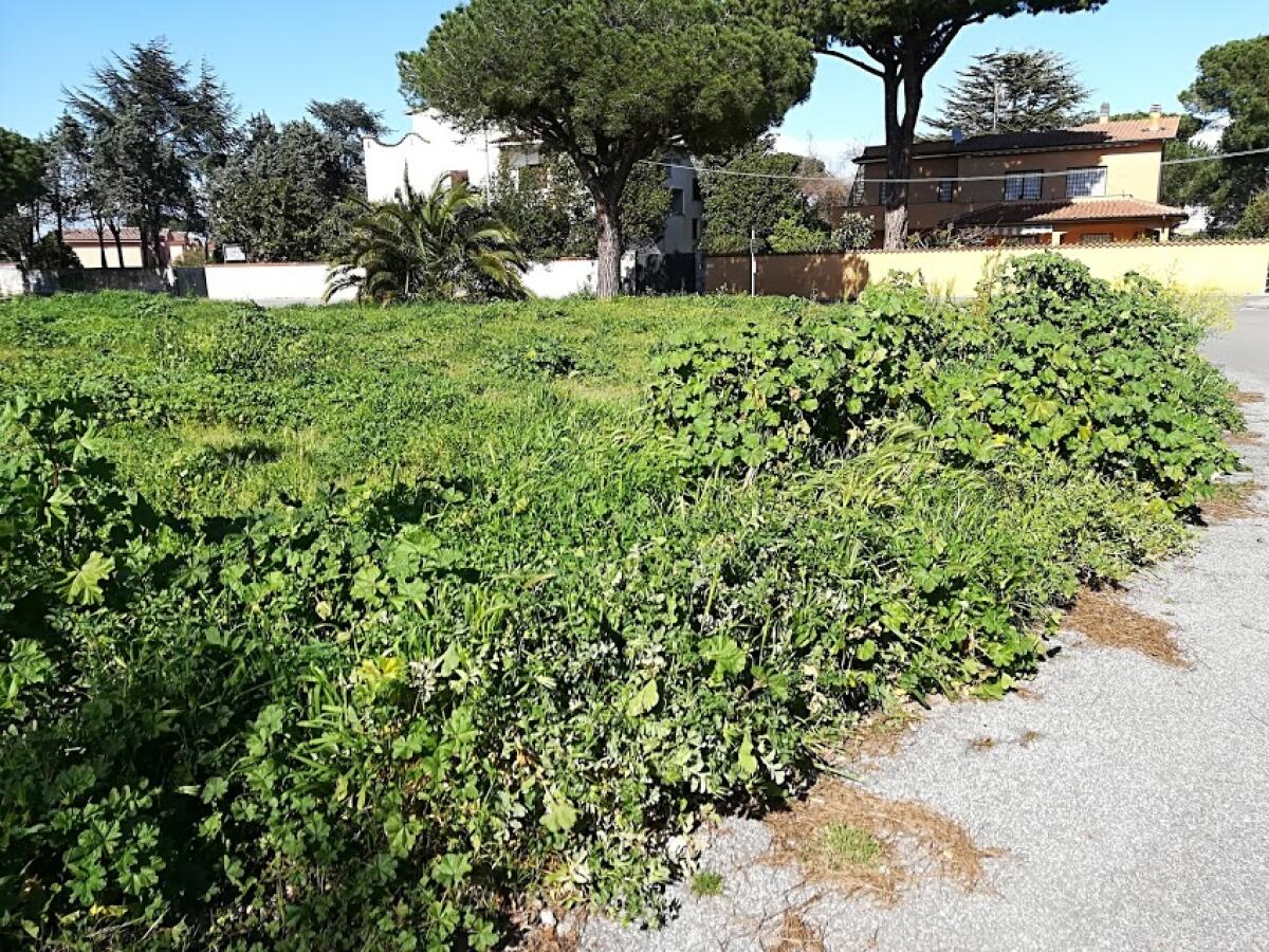 Frana su via dei Lillà ad Anzio, "Situazione pericolosa il Comune intervenga" - 