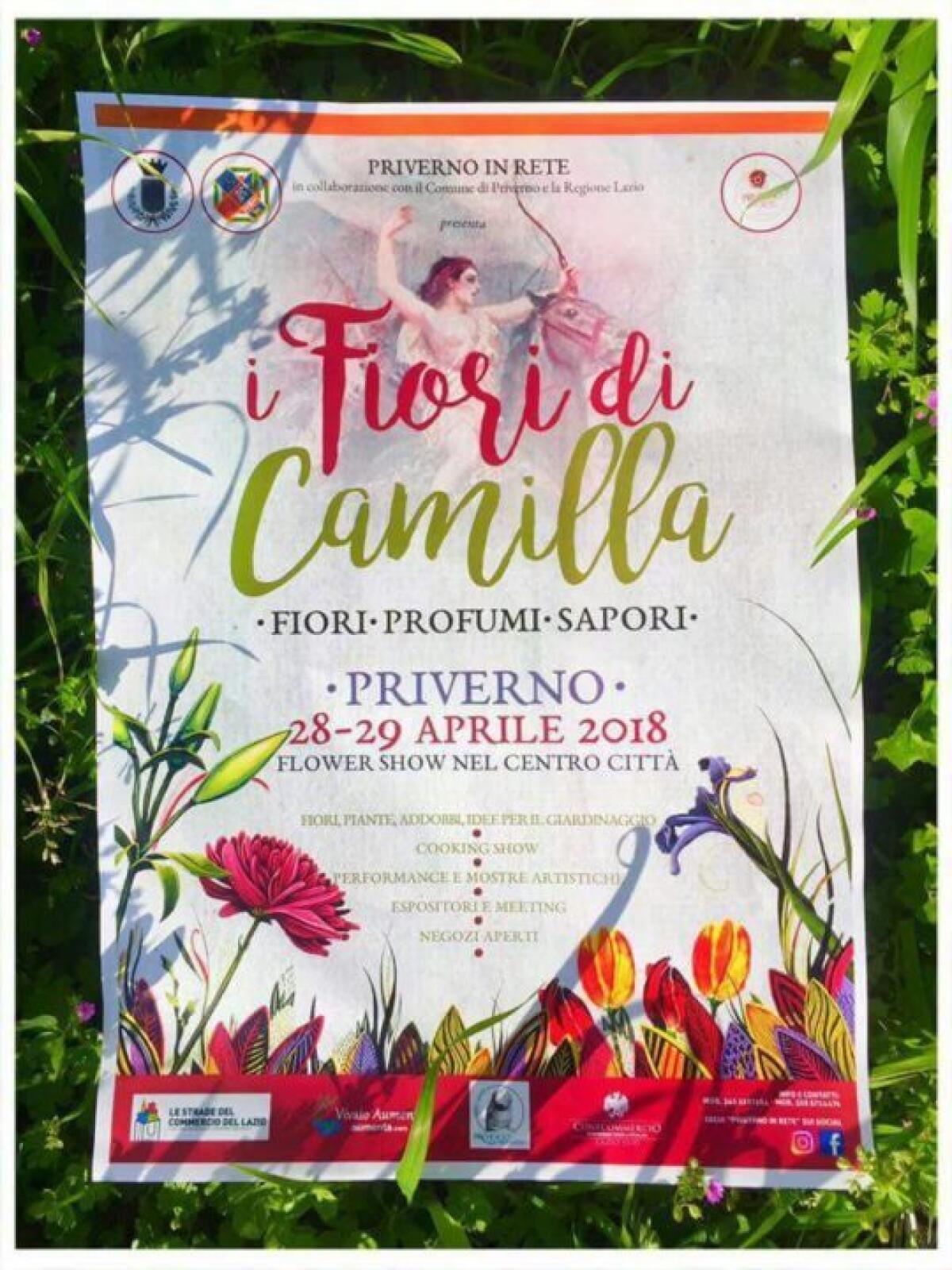 “I Fiori di Camilla”, a Priverno la mostra di Carlo Picone - 