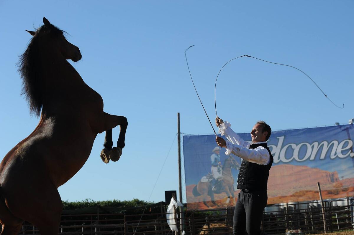 Al via la 33esima edizione della Mostra Agricola di Campoverde, ad Aprilia. - 