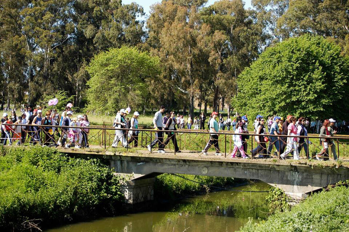 TERRACINA - Questa domenica torna la tradizionale “Pedagnalonga”. - 