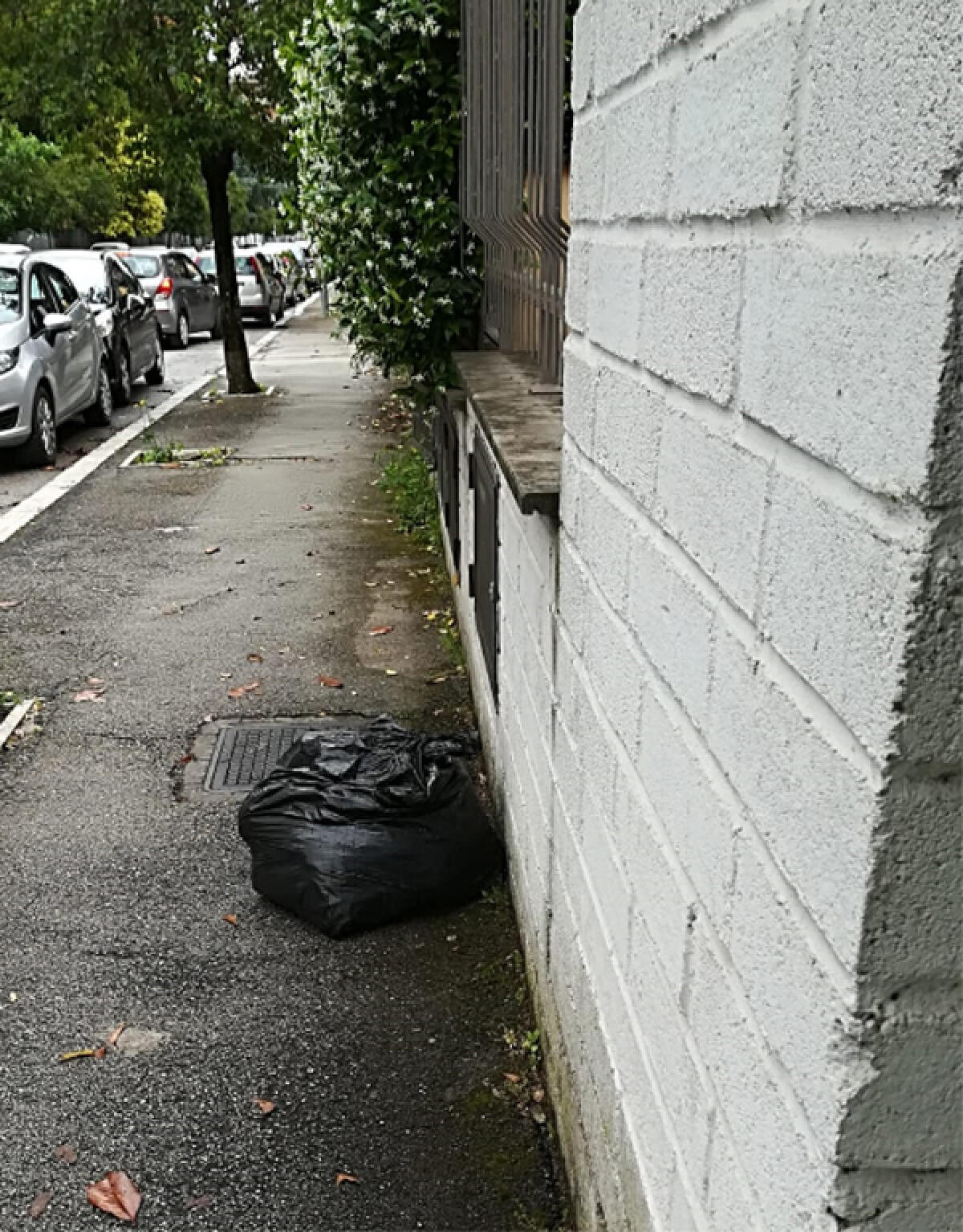 APRILIA - Ancora sacchetti della spazzatura abbandonati in strada. - 