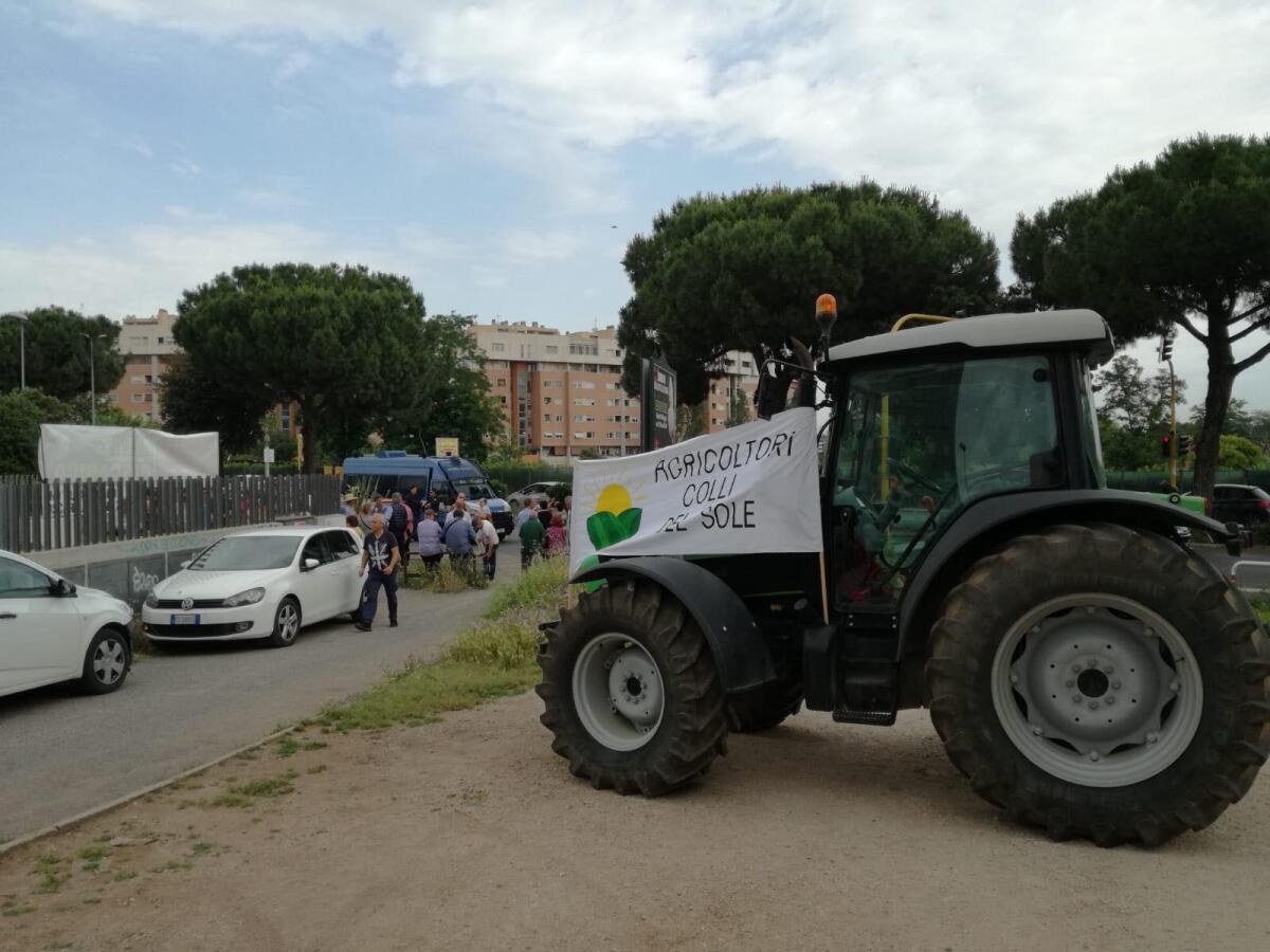 "Un Monumento Naturale a Colli del Sole, depositato video fatto con drone" - 