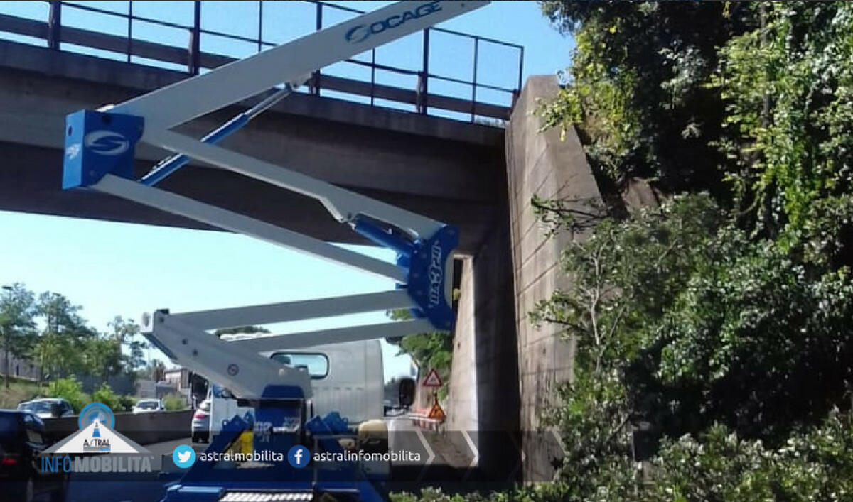 Lavori di potatura all’altezza del Km 32,00 della Pontina, in direzione Latina. - 