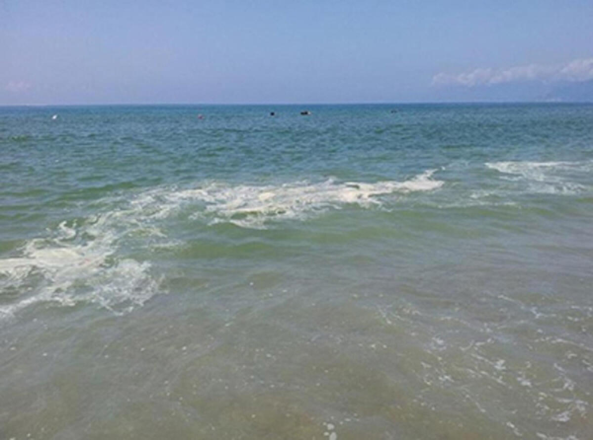 Ardea, emessa ordinanza sui divieti di balneazione - 