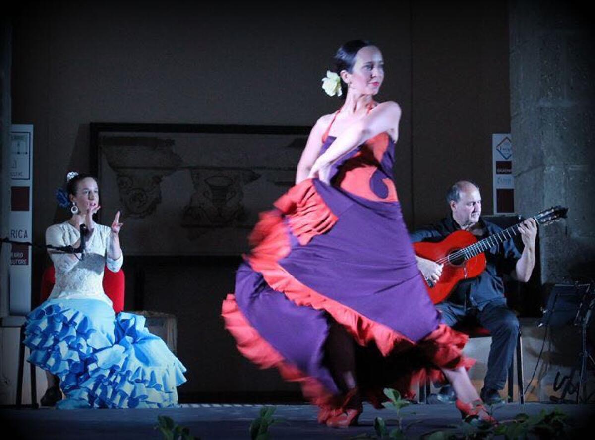 Entusiasmo per la Fiesta Flamenca di Velletri - 