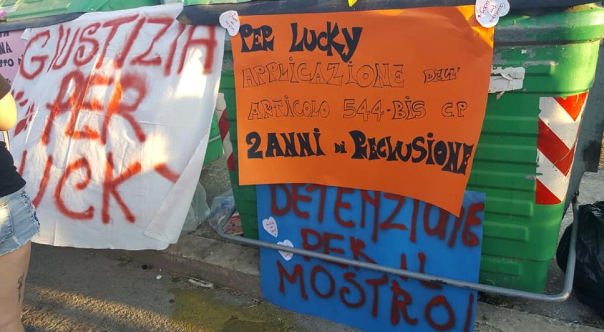 In tanti alla marcia per Lucky: "Basta maltrattamenti sugli animali" - 