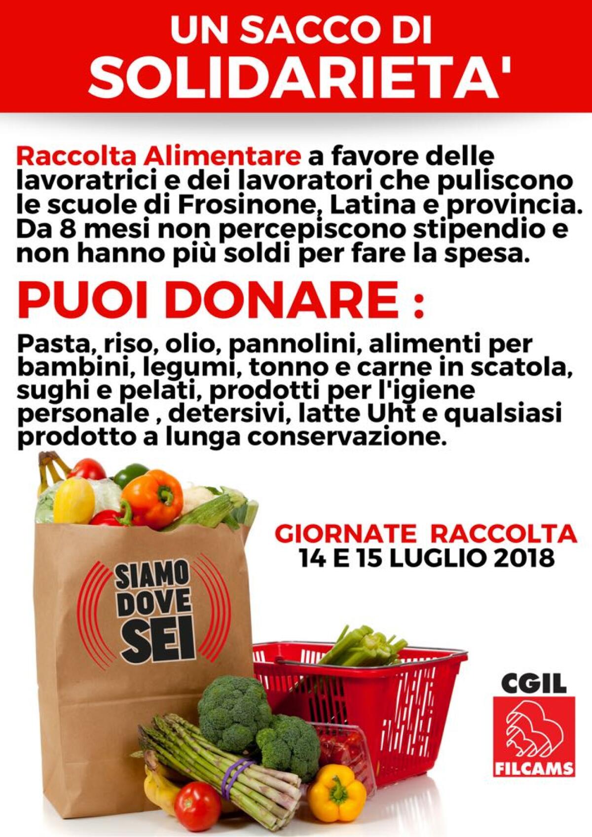 Lavoratrici delle pulizie per le scuole delle province di Frosinone e Latina senza stipendio - 