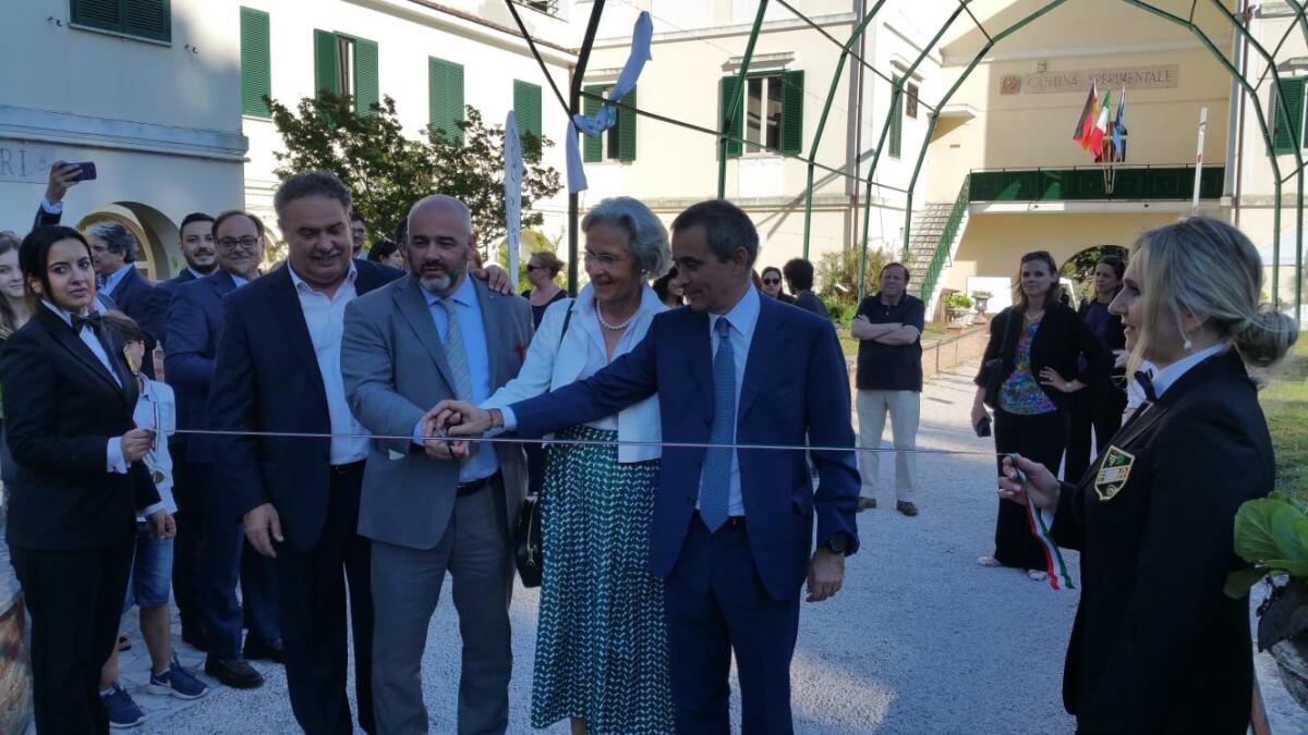 Velletri - Successo pieno per “Tutti giù in cantina”, il Festival della Cultura del Vino - 