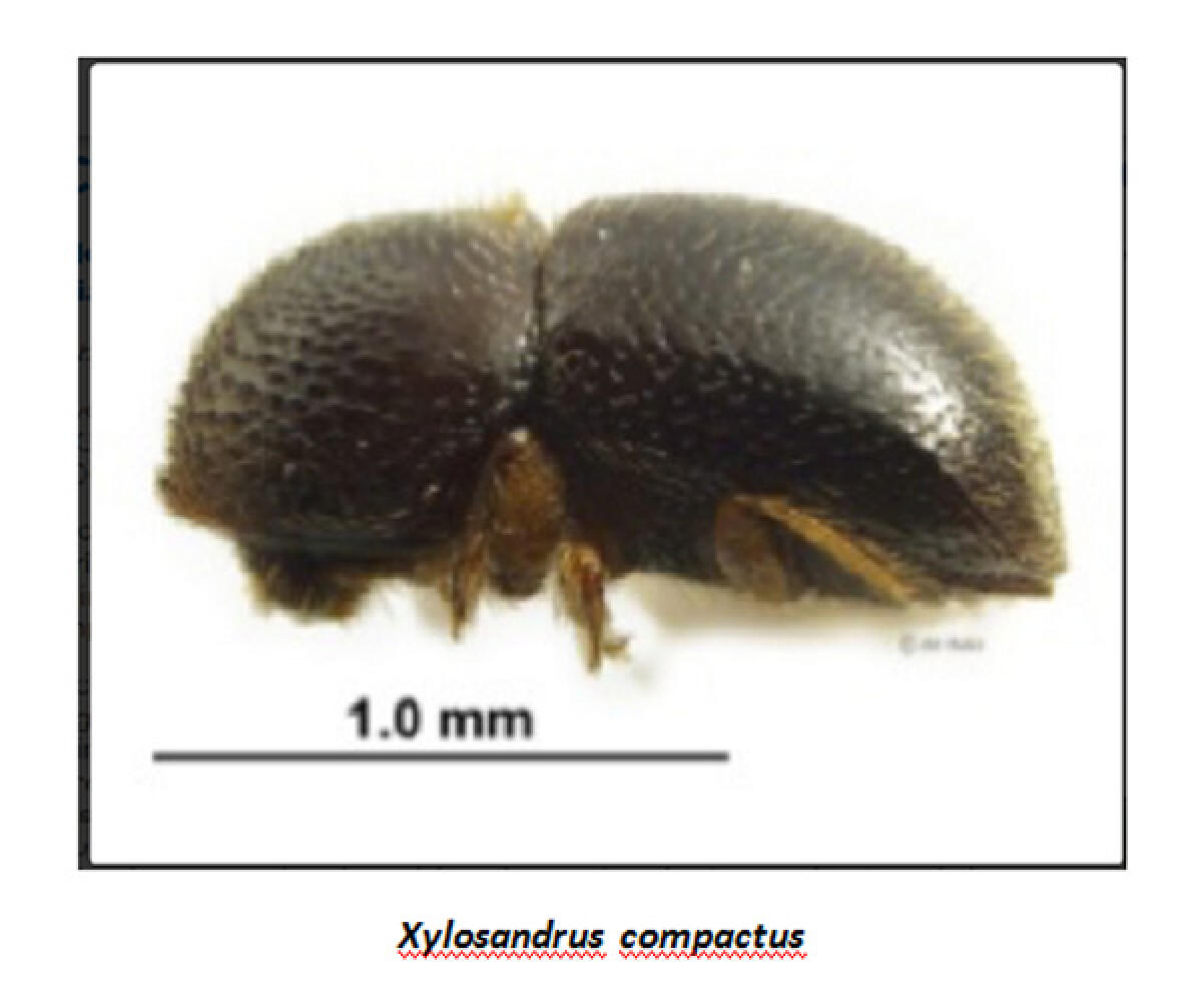 Progetto Life, il kick off meeting al Parco Nazionale del Circeo. - 