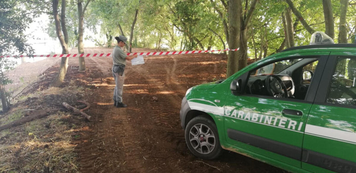 Operazione dei Carabinieri Forestali tra Priverno e Terracina contro gli illeciti ambientali: sequestrate due aree. - 