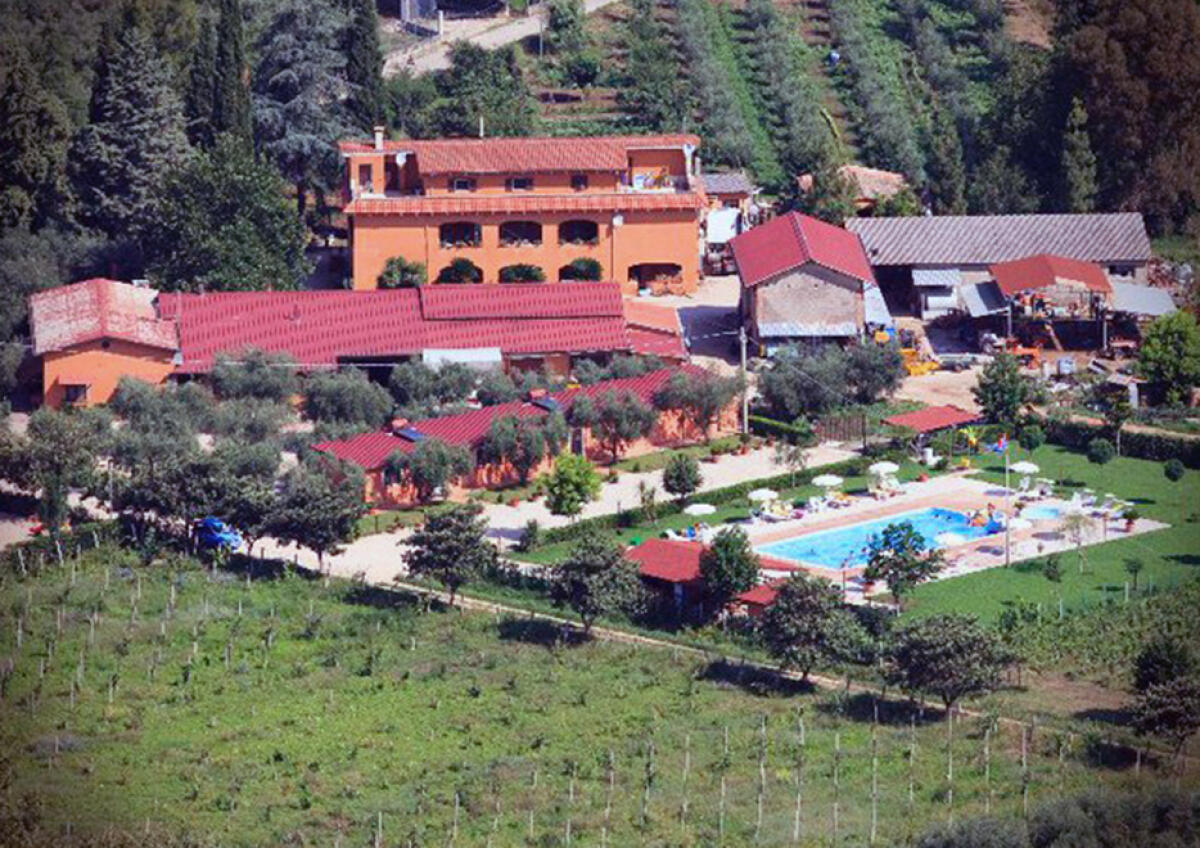 Degustazione guidata a Sermoneta su 10 grandi oli extravergini d'oliva - 