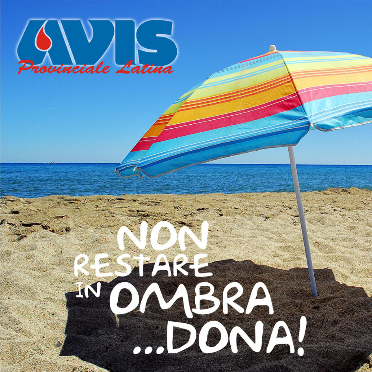 “Non restare in ombra..Dona!”: l’appello dell’Avis comunale di Aprilia. - 