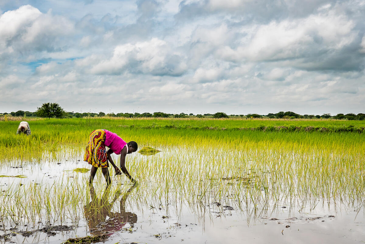 La Tanzania in mostra per beneficenza a Villa Sarsina, ad Anzio. - 