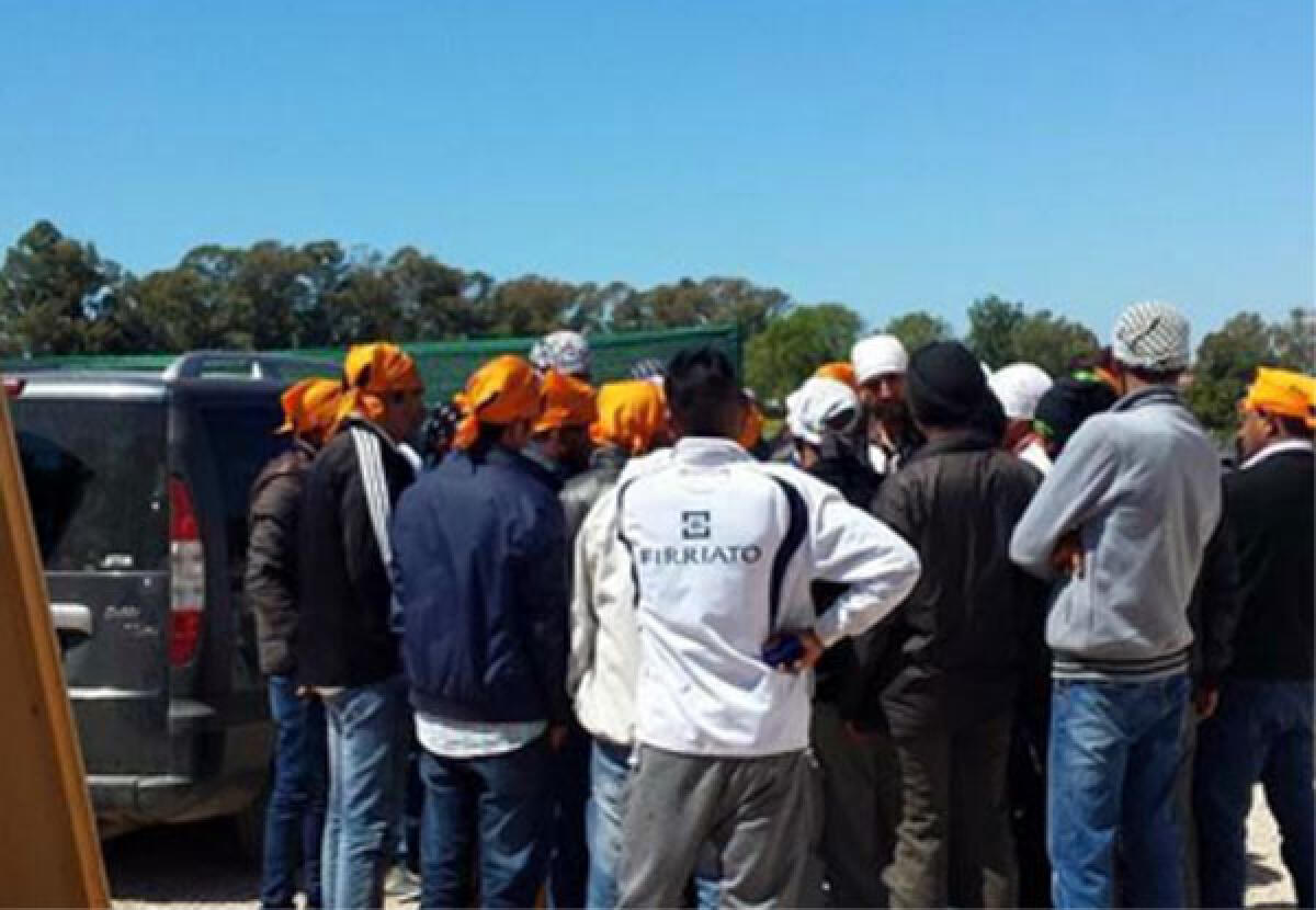 La Caritas di Latina interviene sui recenti arresti per sfruttamento degli immigrati in agricoltura. - 