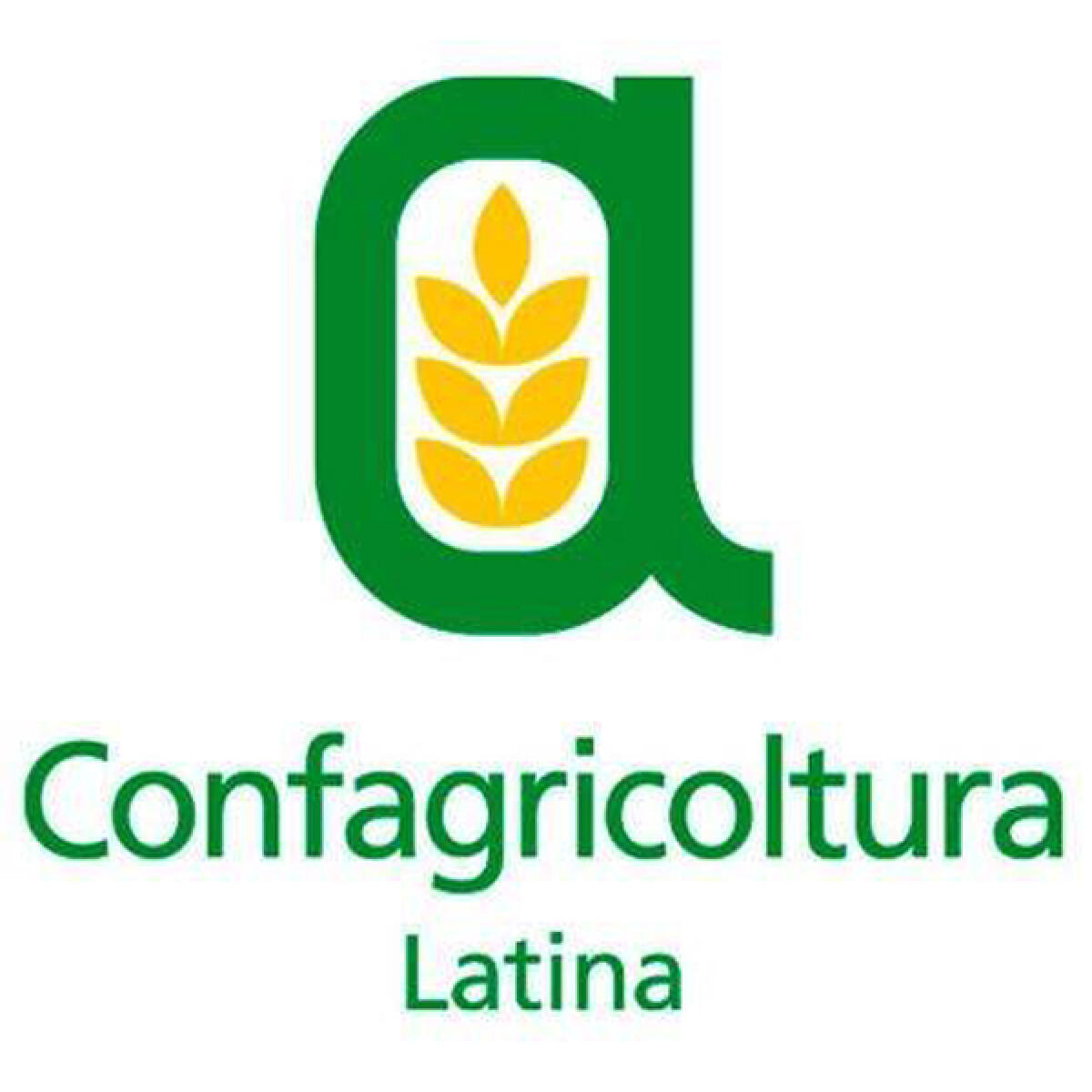 Luigi Niccoli è il nuovo Presidente di Confagricoltura Latina. - 