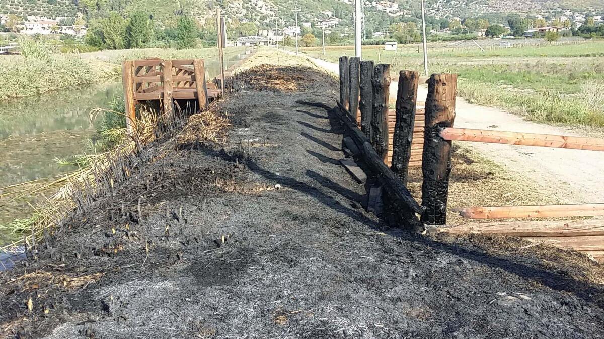 In fiamme il pontile di Canale Portella, sul Lago di Fondi, a Monte San Biagio. - 