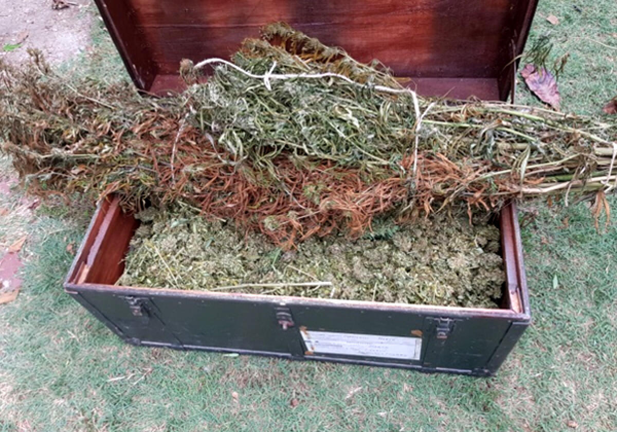 Operazione antidroga alla periferia di Latina, sull'Appia: due arresti e 8 chili di marijuana sotto sequestro. - 