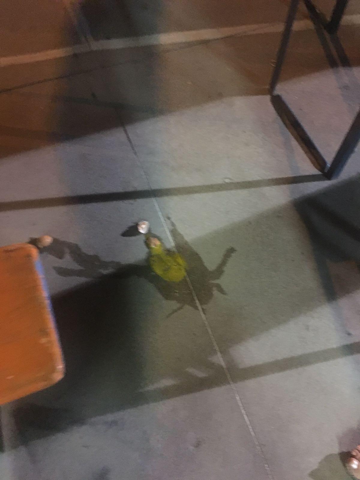 Lancio di uova dai palazzi al parco di via Caligola durante "La Comune in Festa". Intervengono i carabinieri. - 