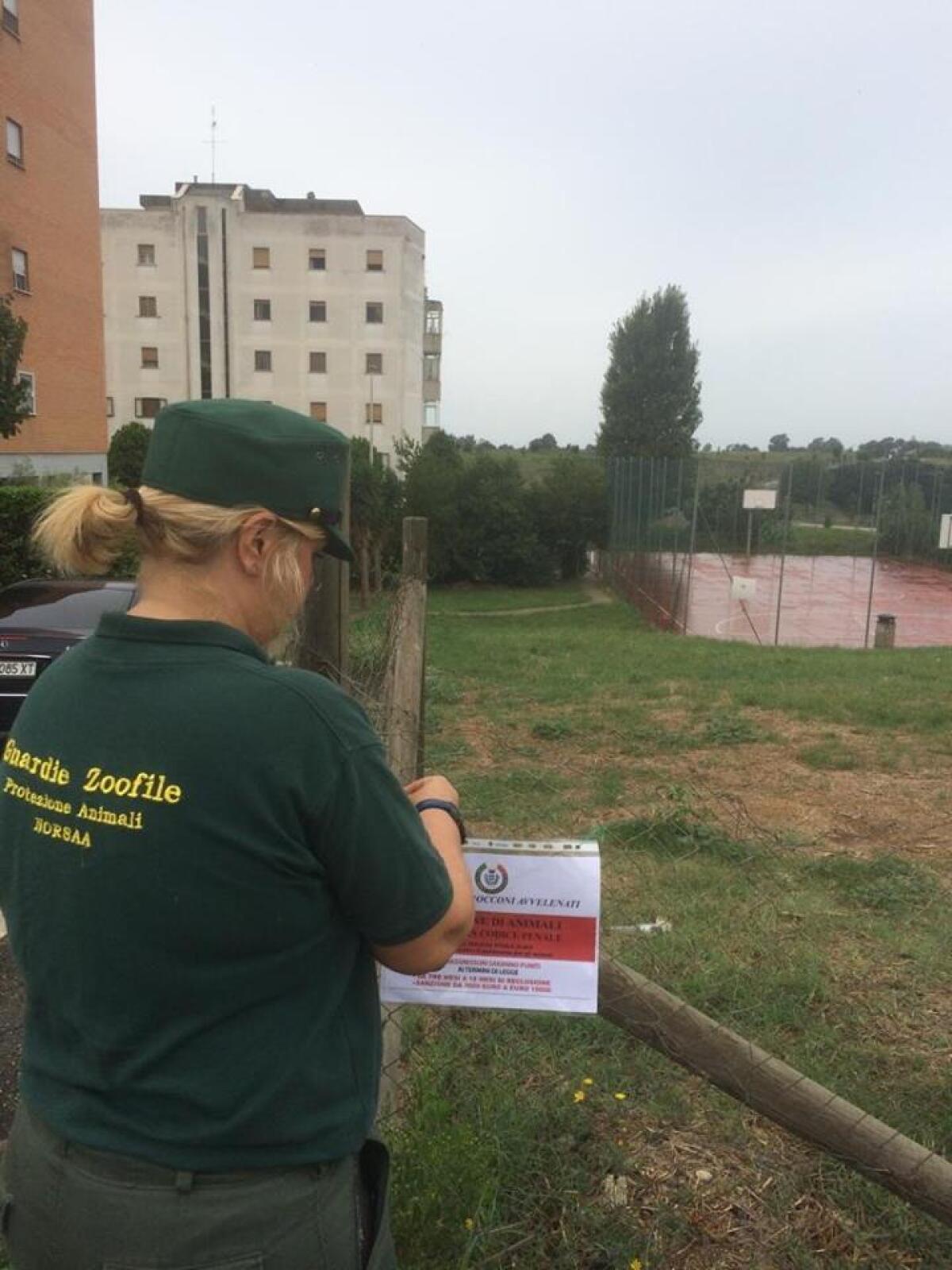 Presunti avvelenamenti di cani nei parchi di Pomezia, le Guardie Zoofile controllano il territorio - 