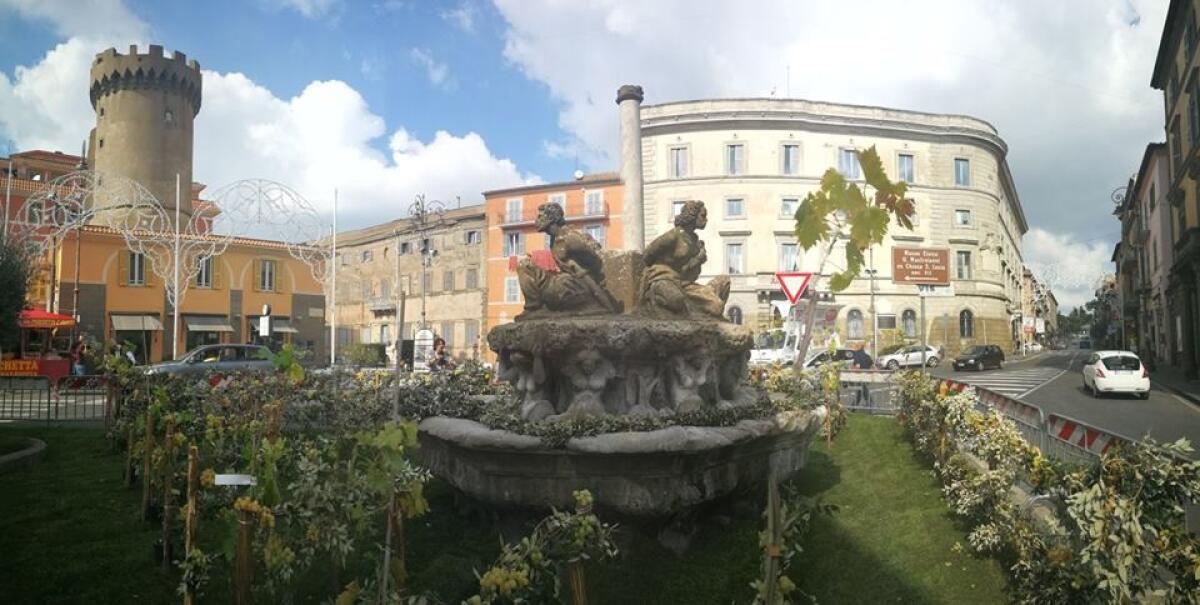 Sagra dell’Uva a Marino con ingresso a pagamento: Assotuteta pronta a presentare un esposto. - 