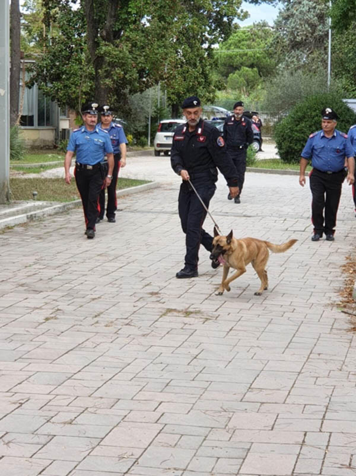 A scuola con un panetto di hashish nello zaino: denunciato uno studente dell’agrario di Latina. - 