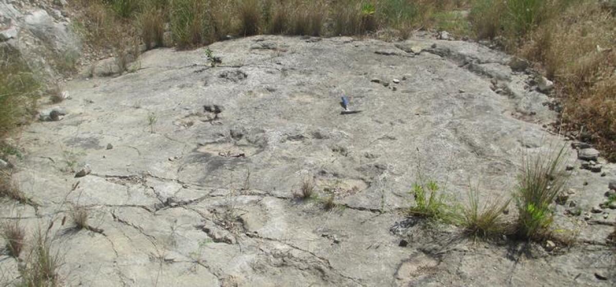 Impronte di dinosauro a Sezze: si conclude in Regione l’iter per tutelare il sito. - 