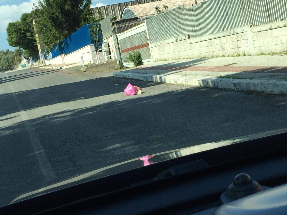 Sacchetti dell'indifferenziata gettati in strada, l'ennesimo caso ad Aprilia - 