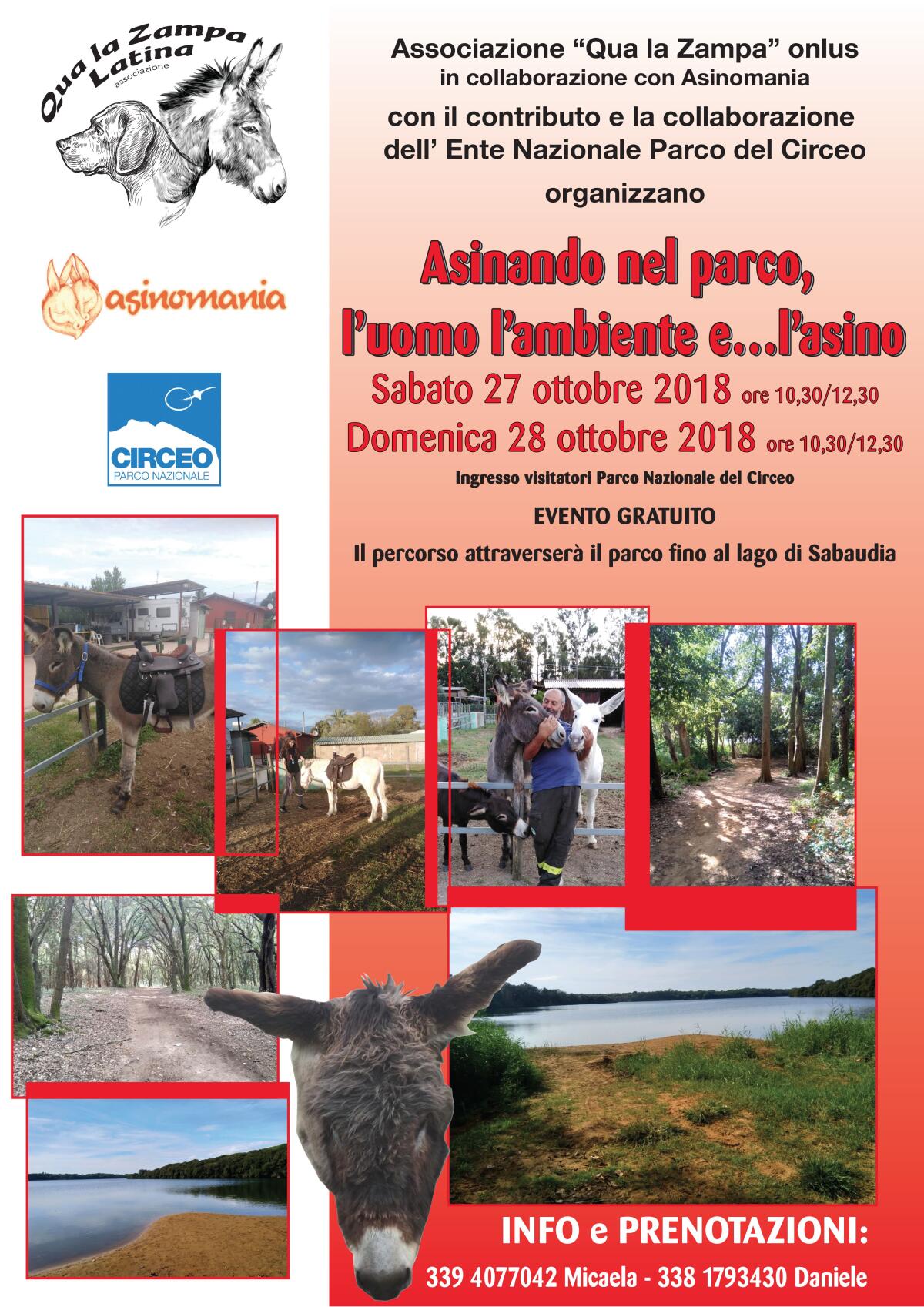 A Sabaudia questo fine settimana l’iniziativa “Asinando nel Parco, l’uomo l’ambiente e…l’asino”. - 