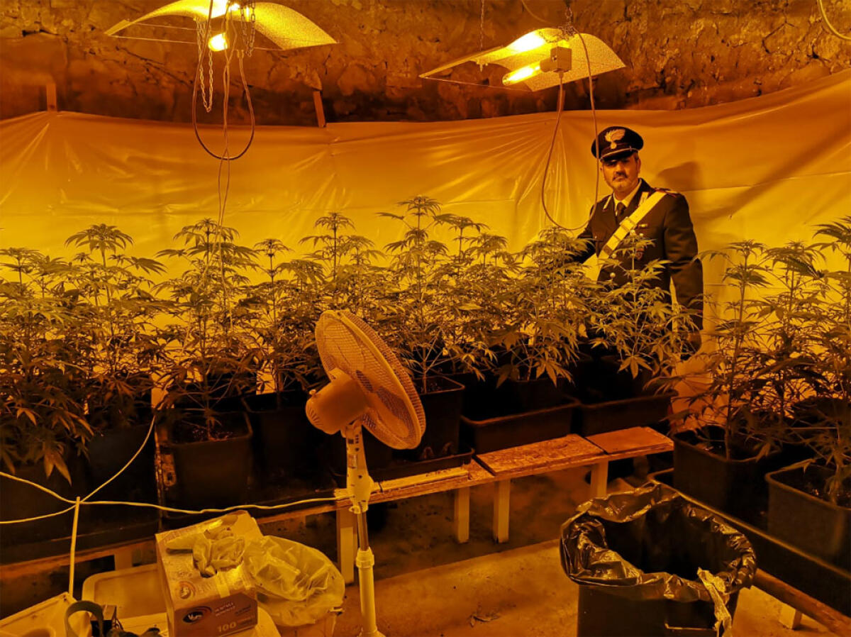 MARINO – Deteneva 15 chili di marijuana nella villa sul lago: i carabinieri arrestano un 50enne. - 