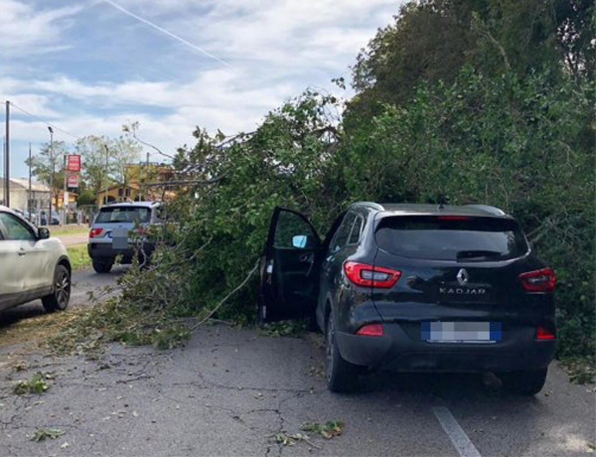 Crollo un albero sulla Pontina, a Terracina, e travolge un'auto. - 