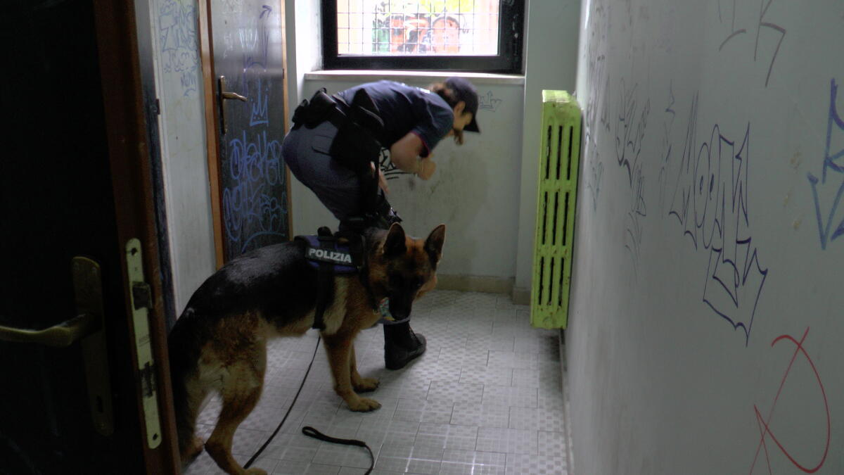 Controlli nelle scuole: la polizia ispeziona il Marconi di Latina - 
