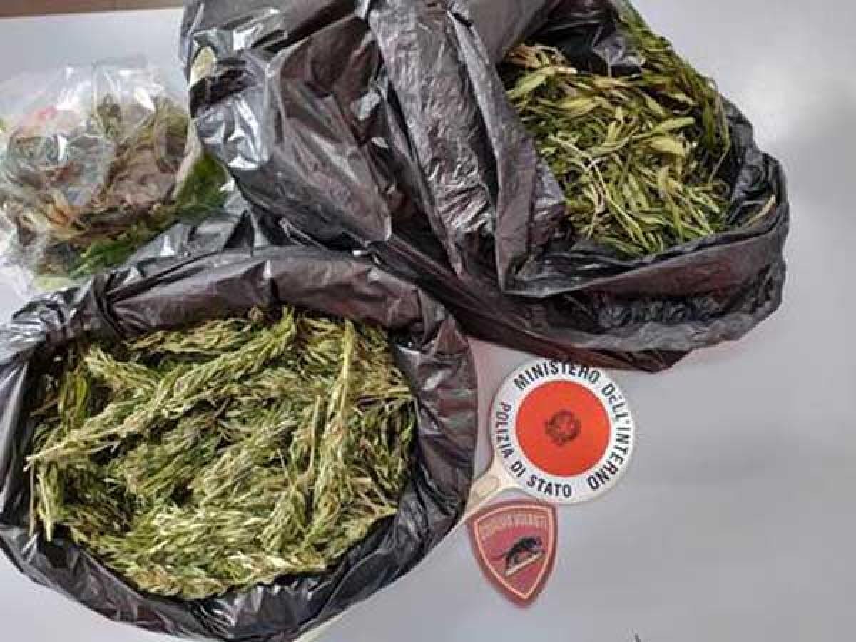 LATINA - Controlli della Polizia, con i cani antidroga, al grattacielo di via Nervi: sequestrati 650 grammi di marijuana. - 