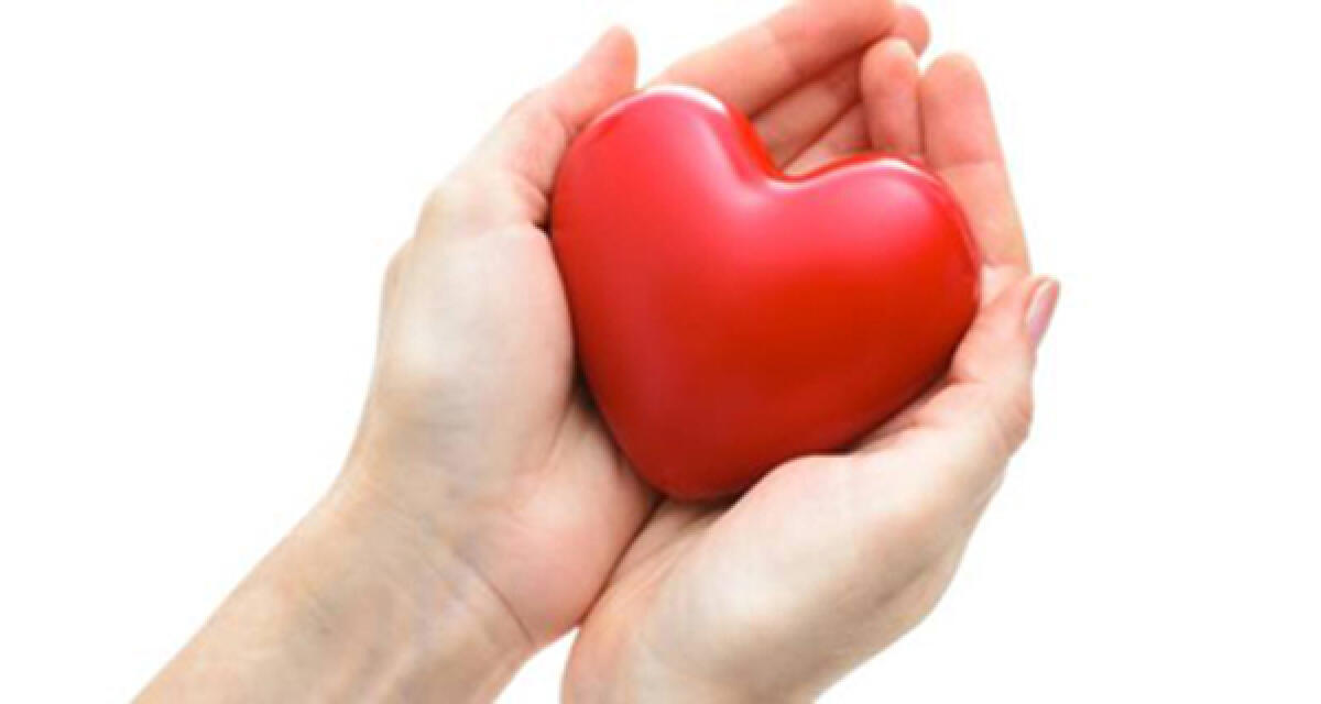 Cuore e aritmie, cosa deve sapere il medico. Il convegno ad Aprilia - 