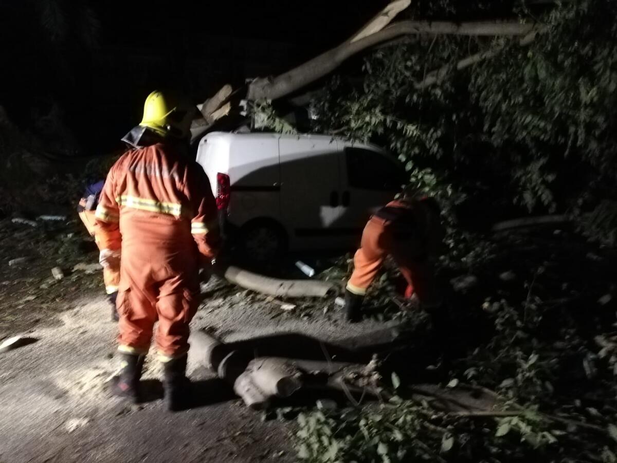 Maltempo - Approvata in Consiglio Provinciale a Latina la richiesta di calamità naturale - 