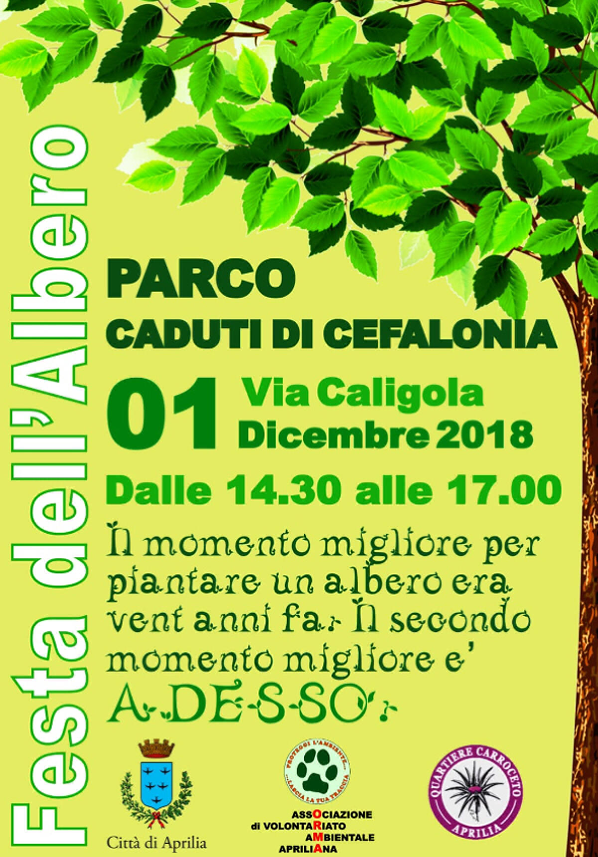“Festa dell’Albero” questo sabato ad Aprilia, al Parco “Caduti di Cefalonia”. - 