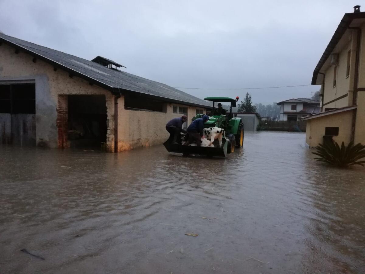Esondazione dei canali: il Consorzio di Bonifica dell’Agro Pontino assicura: “gli impianti idrovori sono tutti in esercizio”. - 