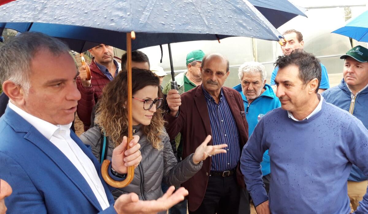L’assessore regionale all’Agricoltura, Onorati, visita i comuni  pontini colpiti dal maltempo. - 