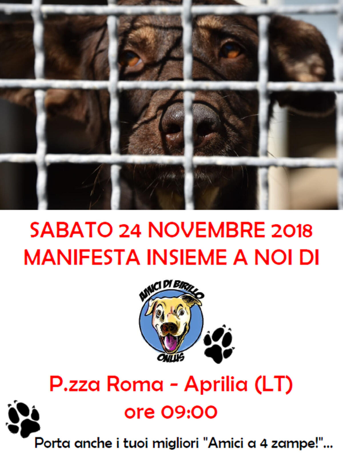 APRILIA - Manifestazione pacifica di "Amici di Birillo" per dire “no” alla delocalizzazione dei servizi di canile. - 