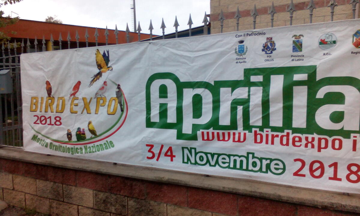 Aprilia - Al Quartiere Primo la mostra Ornitologica Nazionale - 