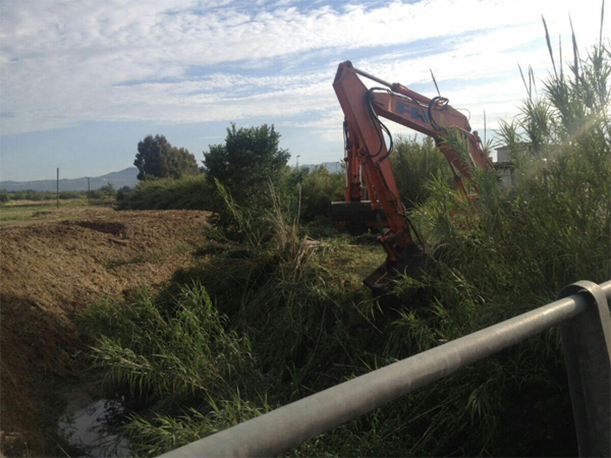 Inquinamento del fosso della Ficoccia, "Venga riparato subito il depuratore" - 