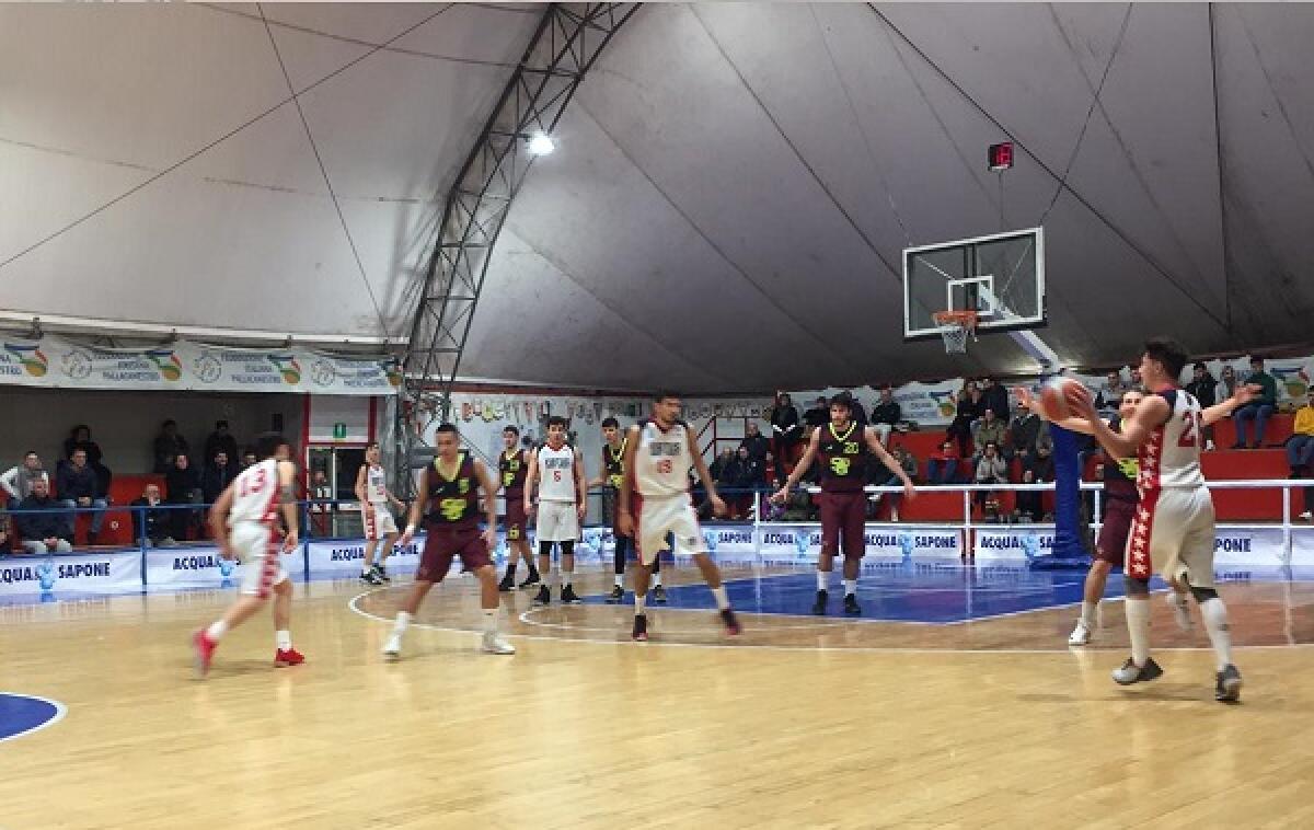 Basket serie C Gold: la Virtus Aprilia oggi in casa della Fortitudo Viterbo. - 