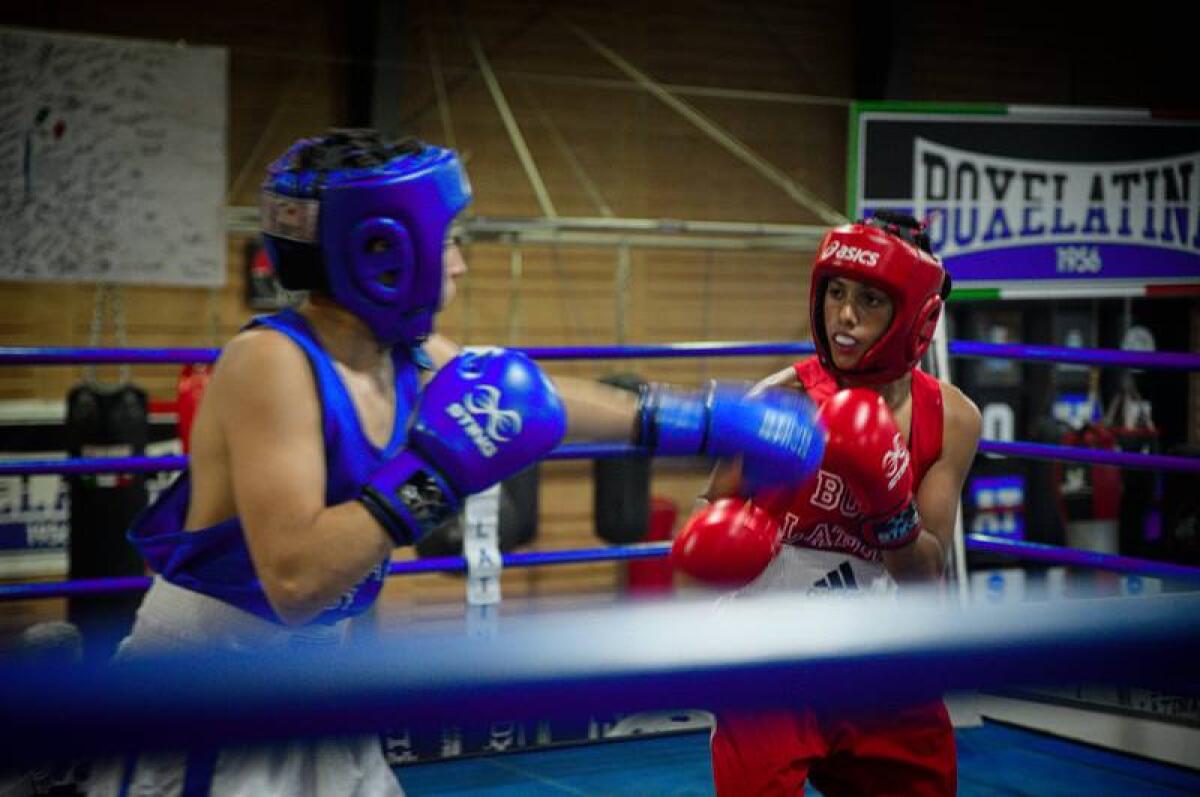 Boxe, nuova chiamata in azzurro per Mattia Spinelli di Latina - 