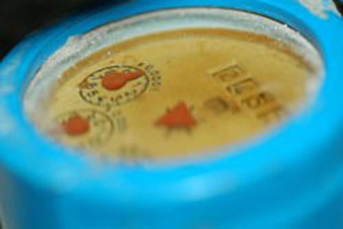 A Nettuno, Roccasecca dei Volsci e Sperlonga primo ciclo di lettura dei contatori dell’acqua per il 2019. - 