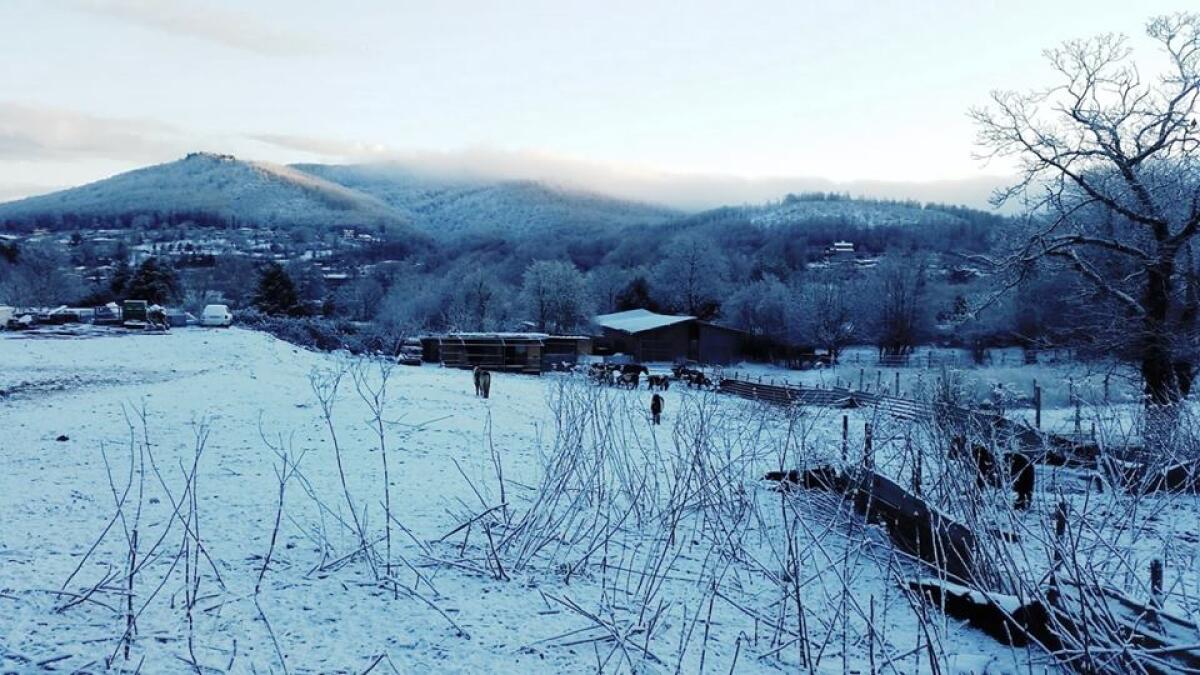 Calano le temperature e torna la neve ai Castelli Romani. - 