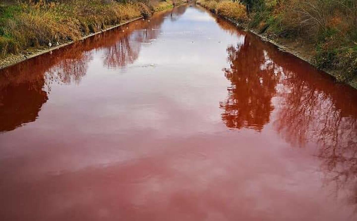 L'acqua del canale di Rio Martino diventa rossa - 